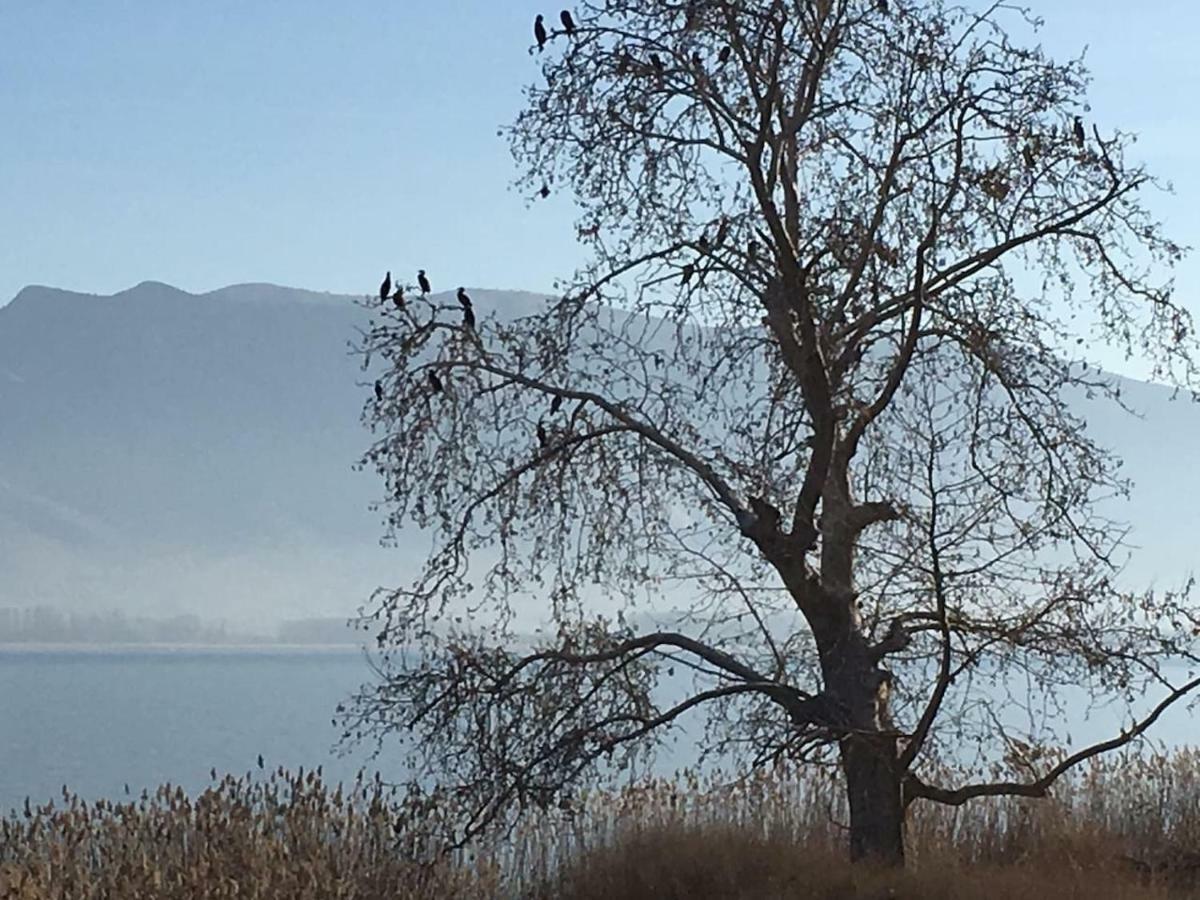 The Little Stone House By The Lake Kastoria Esterno foto